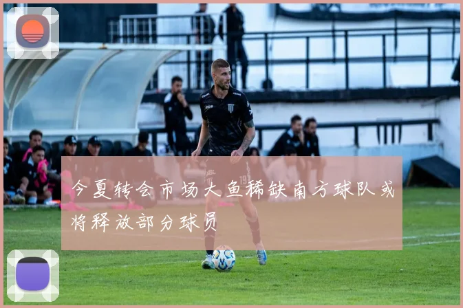 今夏转会市场大鱼稀缺南方球队或将释放部分球员