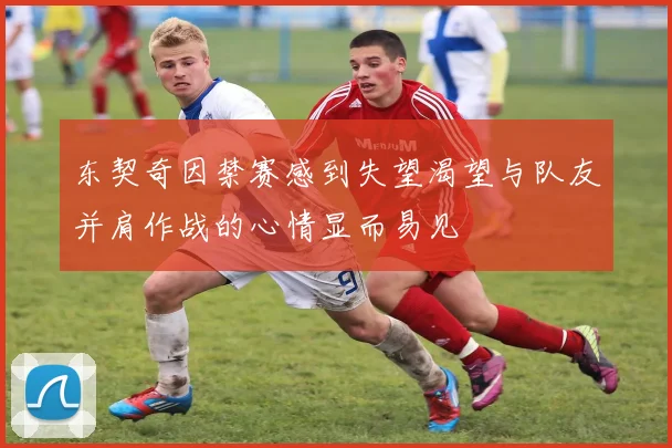 东契奇因禁赛感到失望渴望与队友并肩作战的心情显而易见