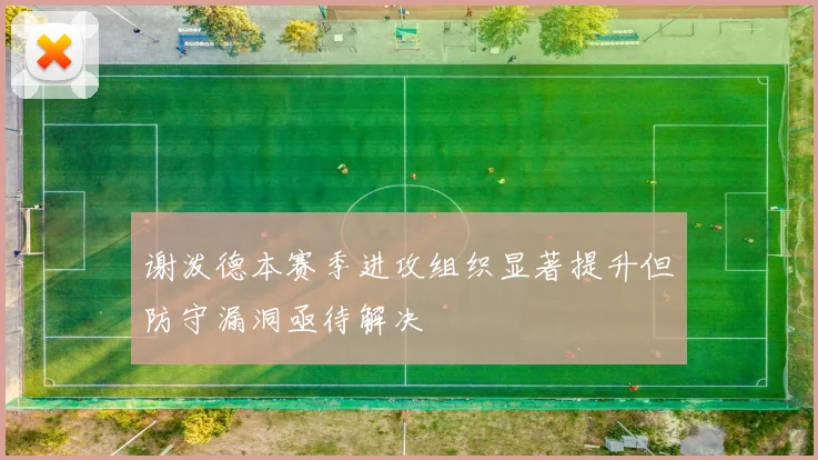 谢泼德本赛季进攻组织显著提升但防守漏洞亟待解决